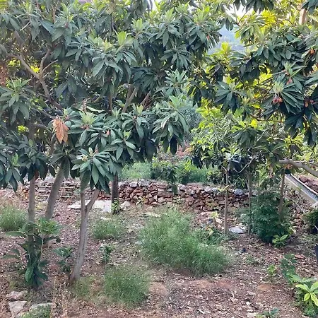 Appartement Deniz manzaralı,teraslı,doğa içinde müstakilsi ev