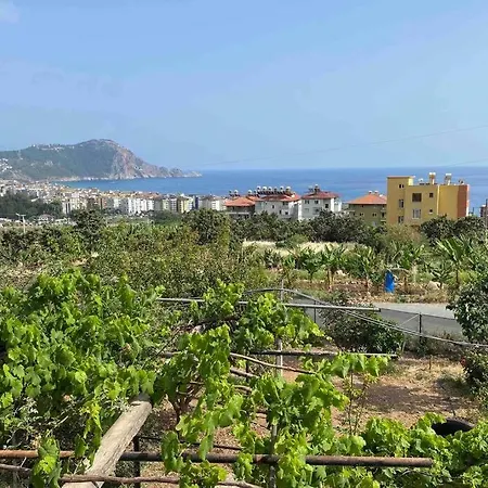 Appartement Deniz manzaralı,teraslı,doğa içinde müstakilsi ev