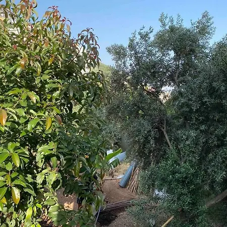 Deniz manzaralı,teraslı,doğa içinde müstakilsi ev Appartement Alanya