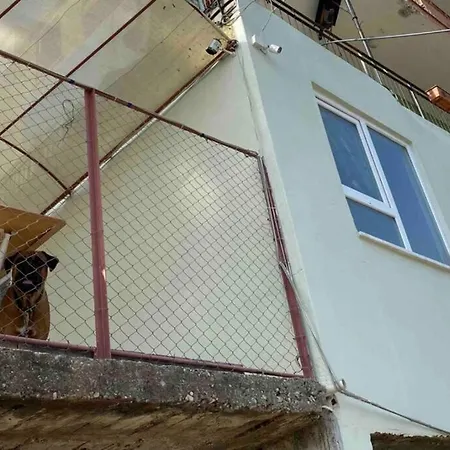 Appartement Deniz manzaralı,teraslı,doğa içinde müstakilsi ev *